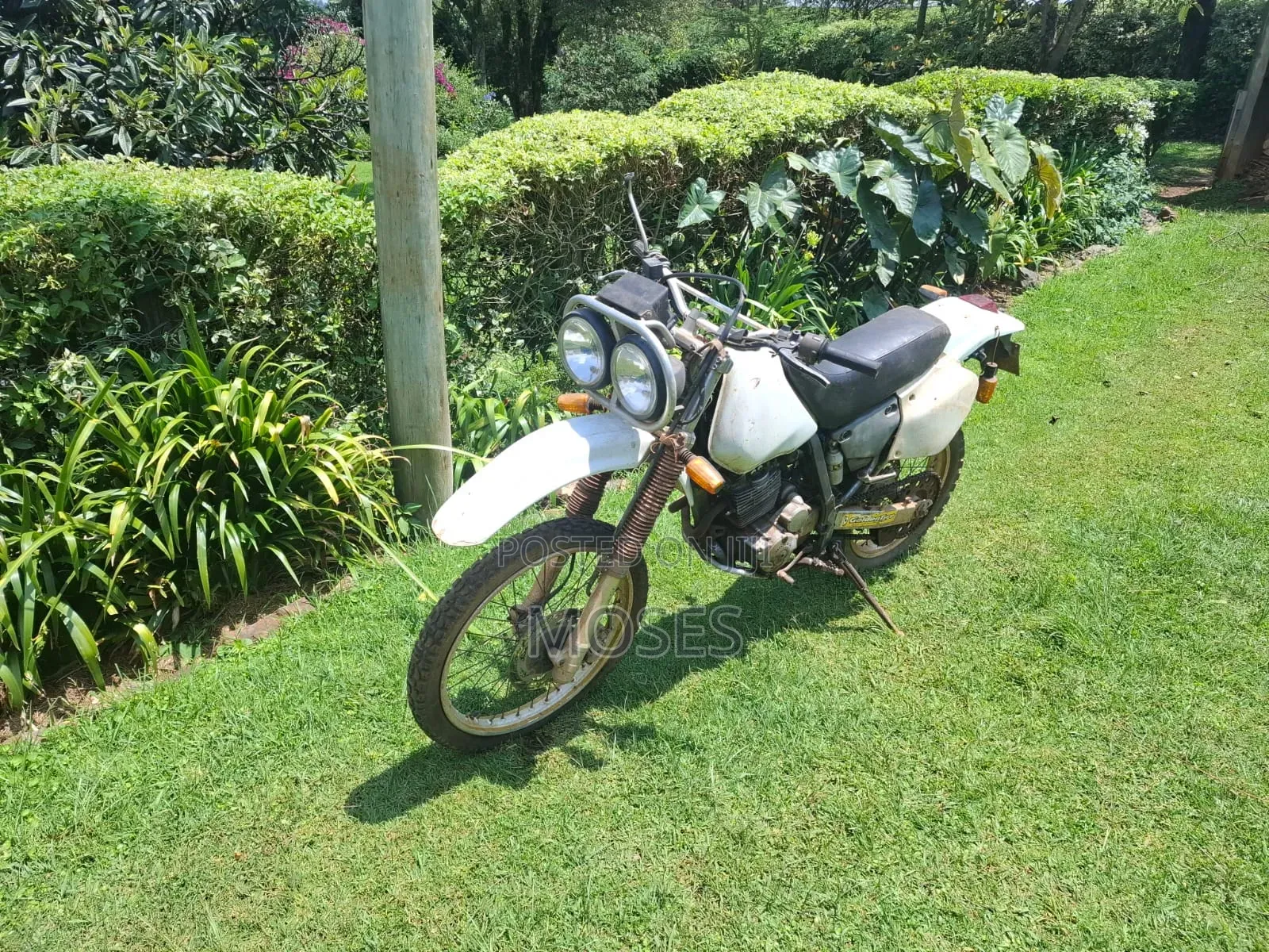 Honda 2005 White