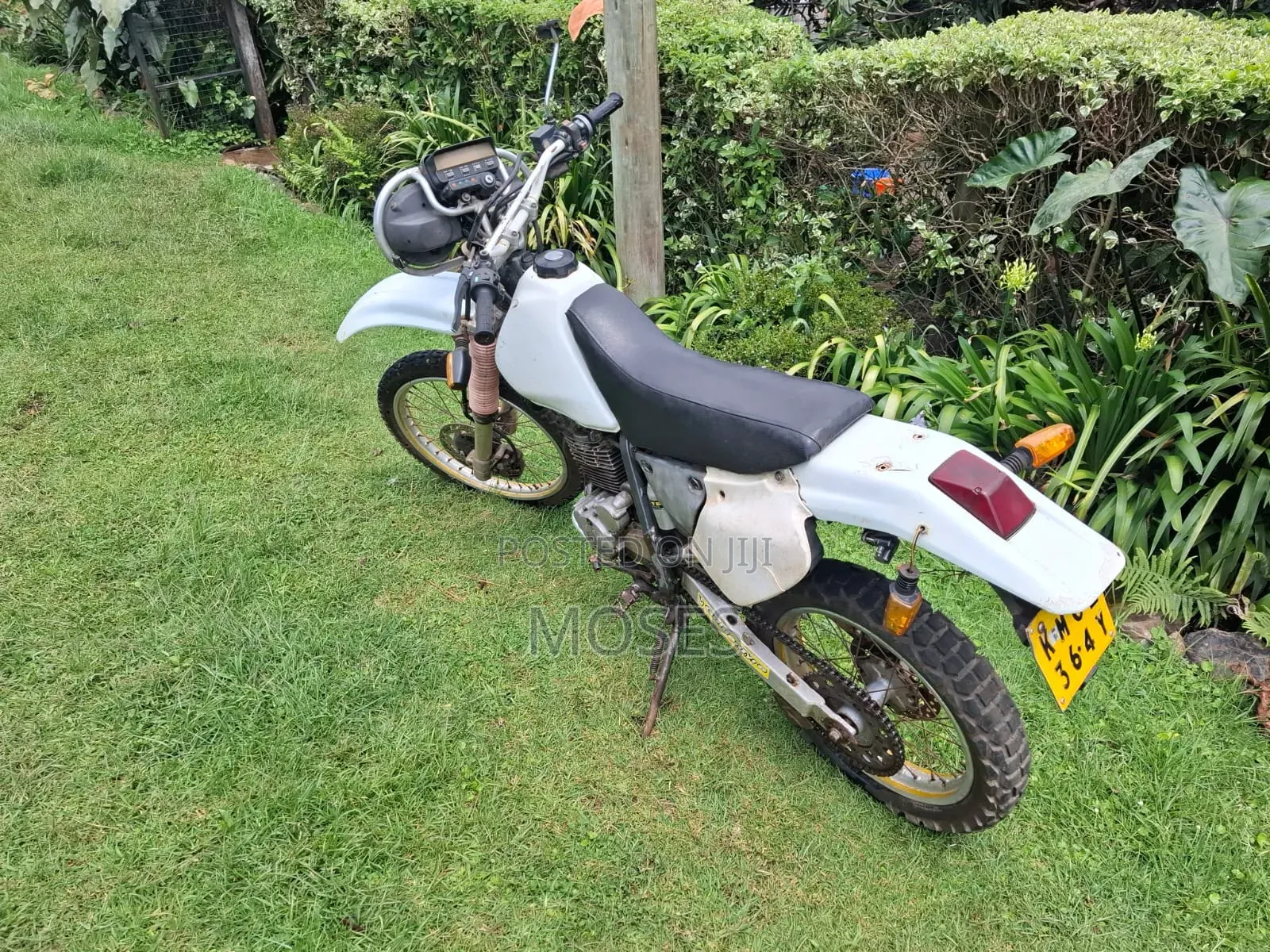 Honda 2005 White