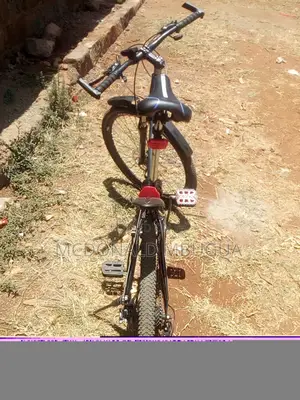Bicycle Size 26