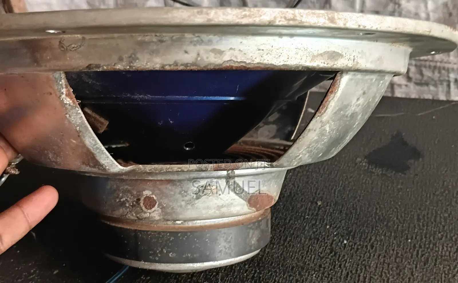 Pioneer Speaker