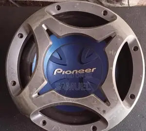 Pioneer Speaker