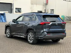 Toyota RAV4 2019 Gray