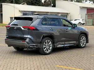 Toyota RAV4 2019 Gray