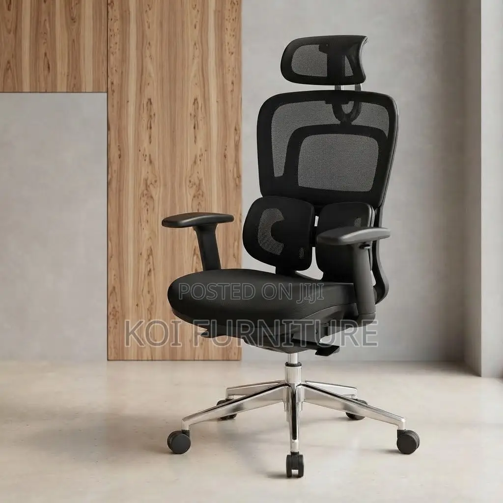 Office Chairs; Dual Spine Backrest Support Orthopedic Chair