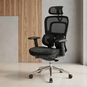 Office Chairs; Dual Spine Backrest Support Orthopedic Chair