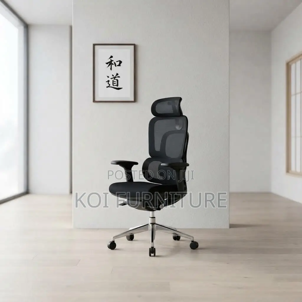 Office Chairs; Dual Spine Backrest Support Orthopedic Chair