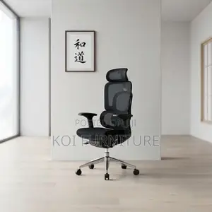 Office Chairs; Dual Spine Backrest Support Orthopedic Chair