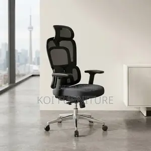 Office Chairs; Dual Spine Backrest Support Orthopedic Chair