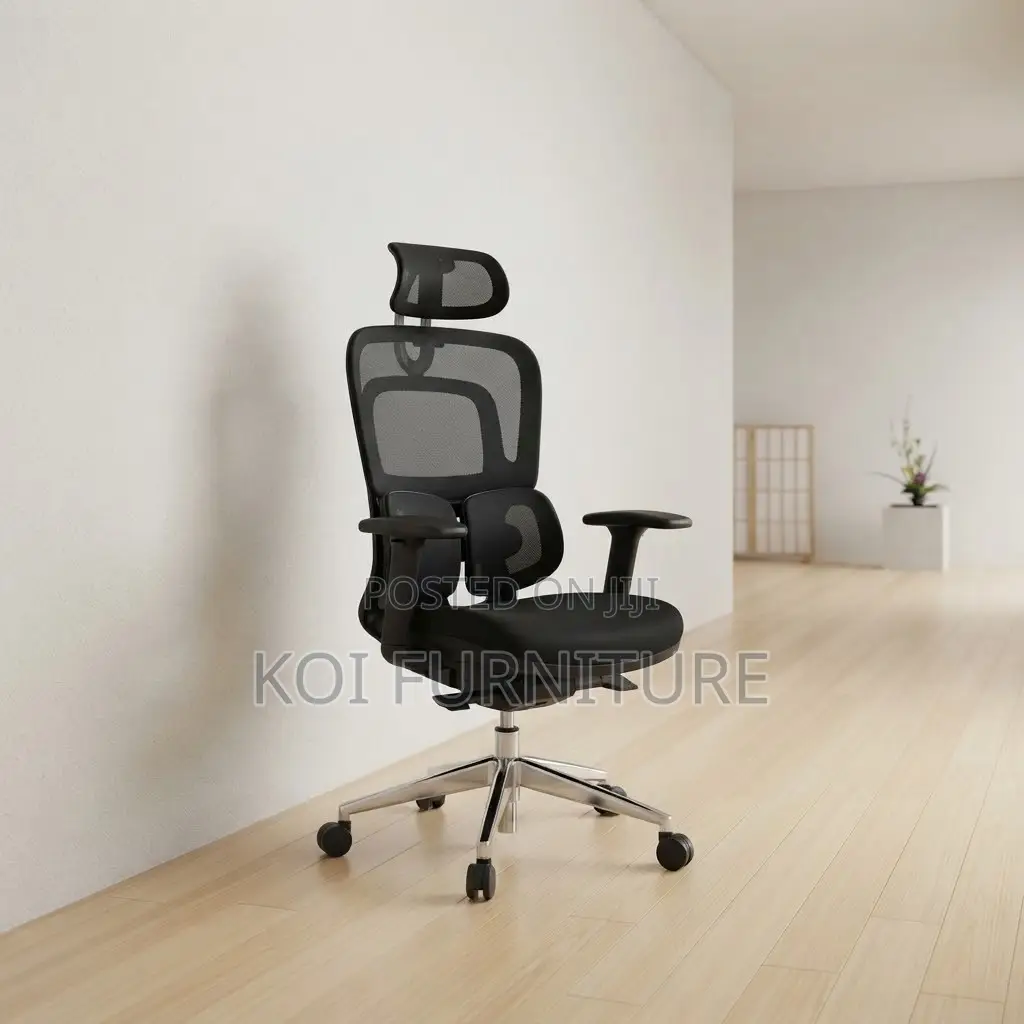 Office Chairs; Dual Spine Backrest Support Orthopedic Chair