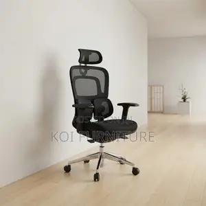 Office Chairs; Dual Spine Backrest Support Orthopedic Chair
