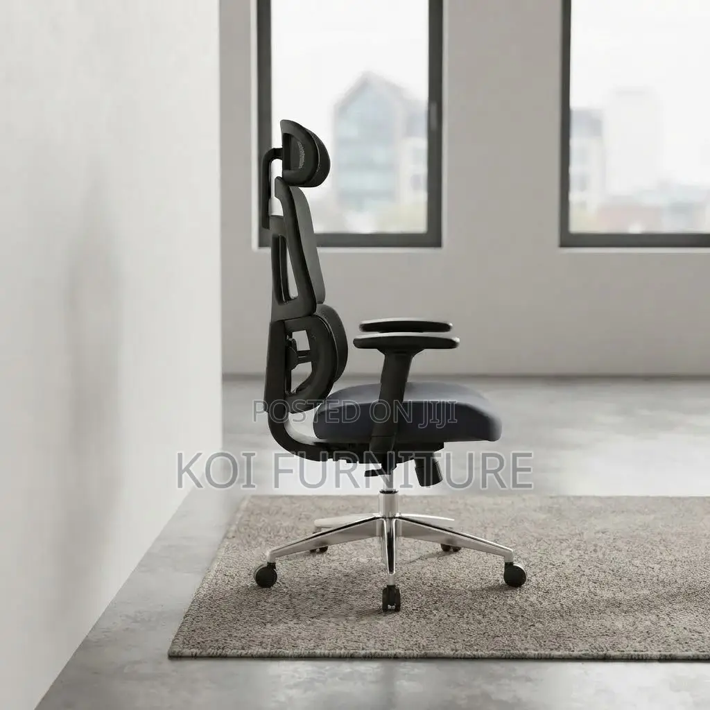 Office Chairs; Dual Spine Backrest Support Orthopedic Chair