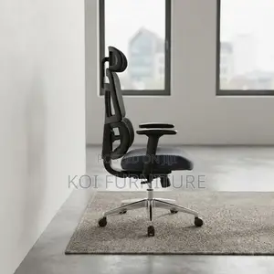 Office Chairs; Dual Spine Backrest Support Orthopedic Chair