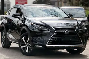 Lexus NX 2019 Black