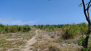 10 Acres Watamu Jacaranda for Sale 5 Mins Walk to the Beach