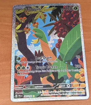 Pokémon Cards Psa Grade 10