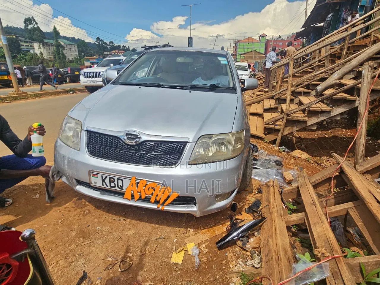 Toyota Corolla Fielder 2008 Silver