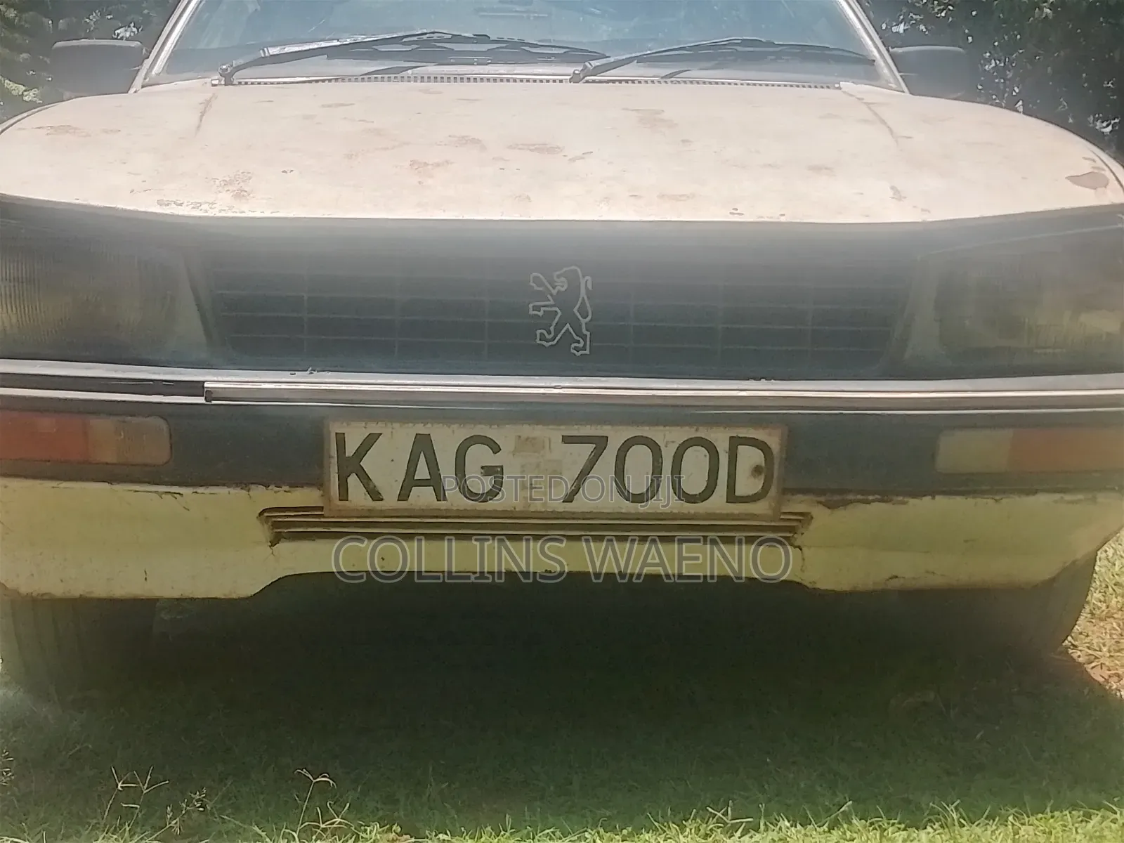 Peugeot 505 1989 Gray
