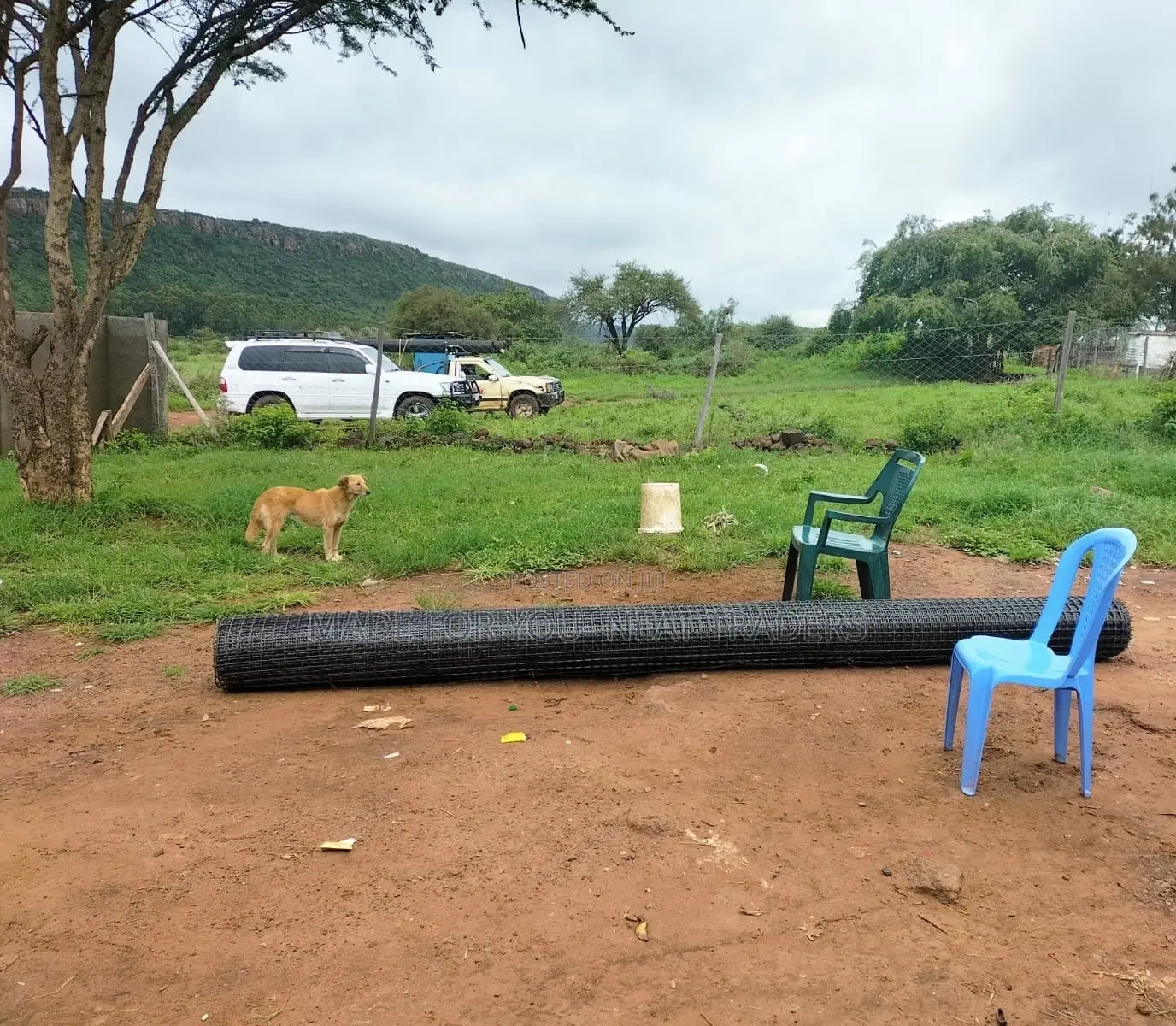 Geogrid 4*(50m)