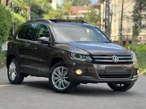Volkswagen Tiguan 2015 Brown