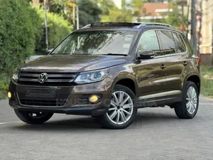Volkswagen Tiguan 2015 Brown