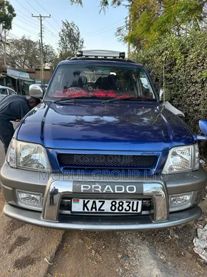 Toyota Land Cruiser 90 2001 Blue