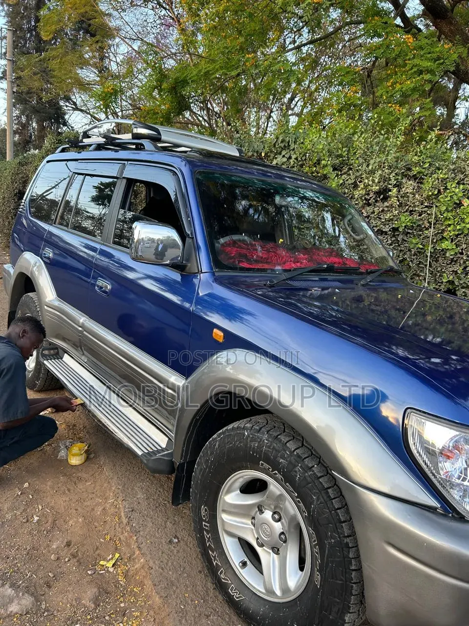 Toyota Land Cruiser 90 2001 Blue