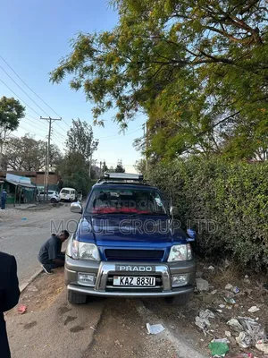 Toyota Land Cruiser 90 2001 Blue