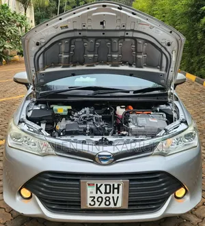Toyota Corolla Fielder 2017 Silver