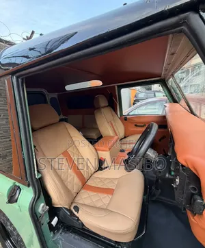 Land Rover Defender 1979 Blue