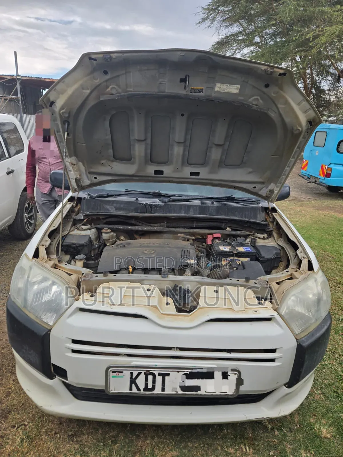 Toyota Succeed 2018 White