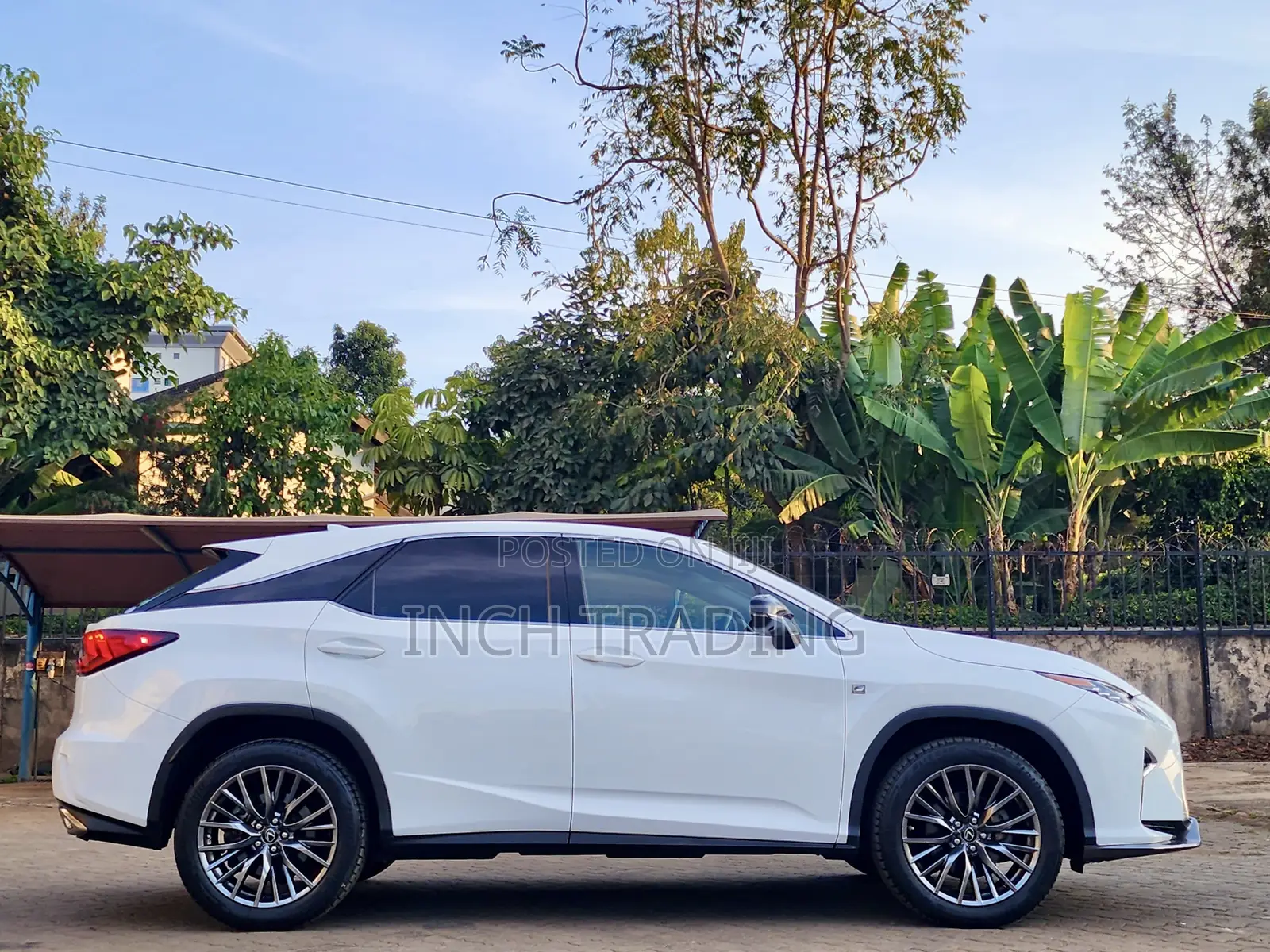Lexus RX 300 4WD 2019 White