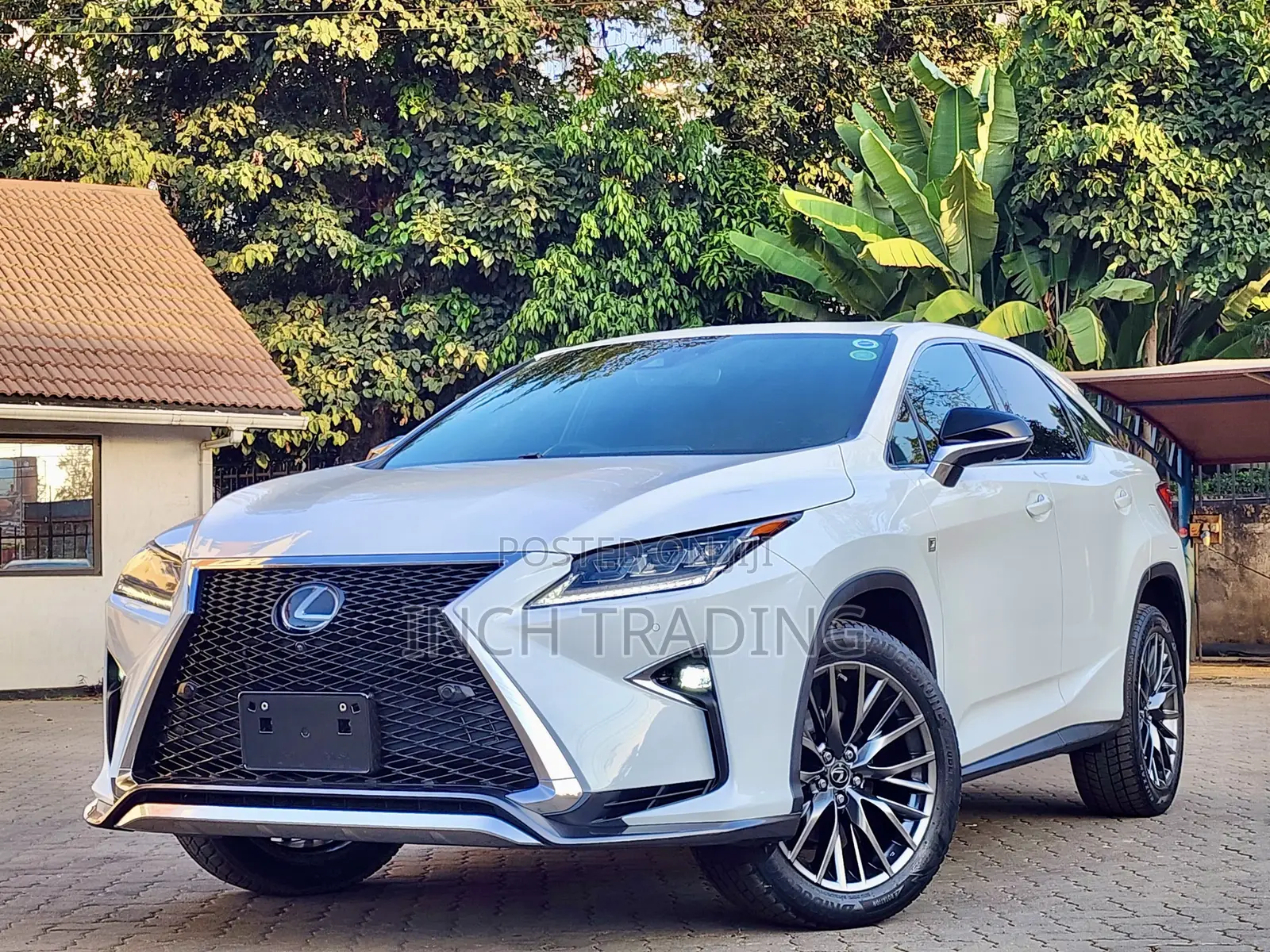 Lexus RX 300 4WD 2019 White