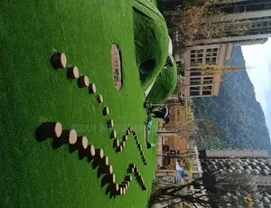 Artificial Grass Carpets Environmental Friendly Robertson's