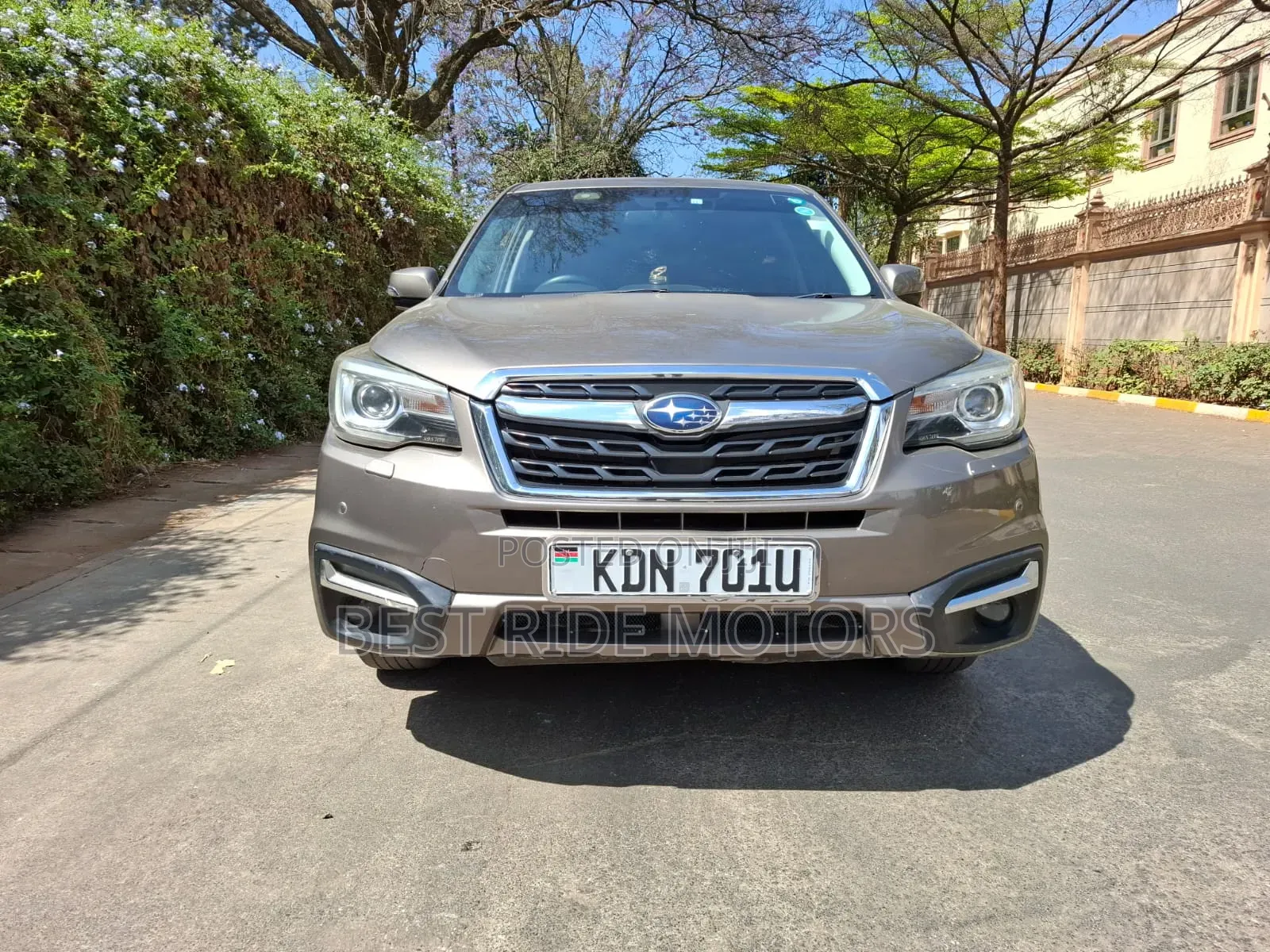 Subaru Forester 2016 Brown