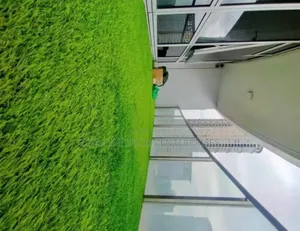 Modern Balcony Grass Carpets Environmental Friendly Robertson's