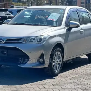 Toyota Axio 1.5 G 4WD 2019 Silver