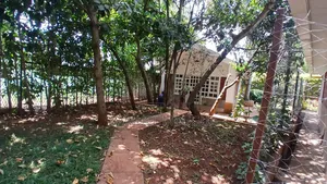 1bdrm Bungalow in Karen for rent