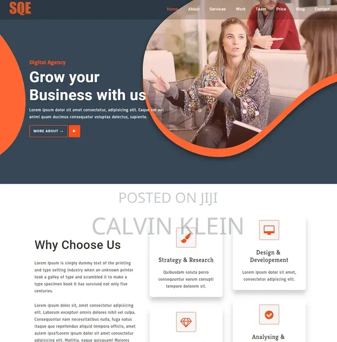 Professional Website Design