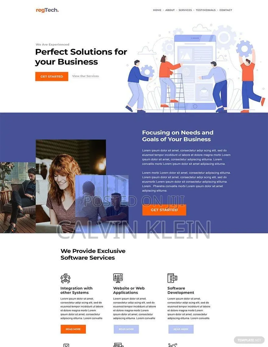 Professional Website Design