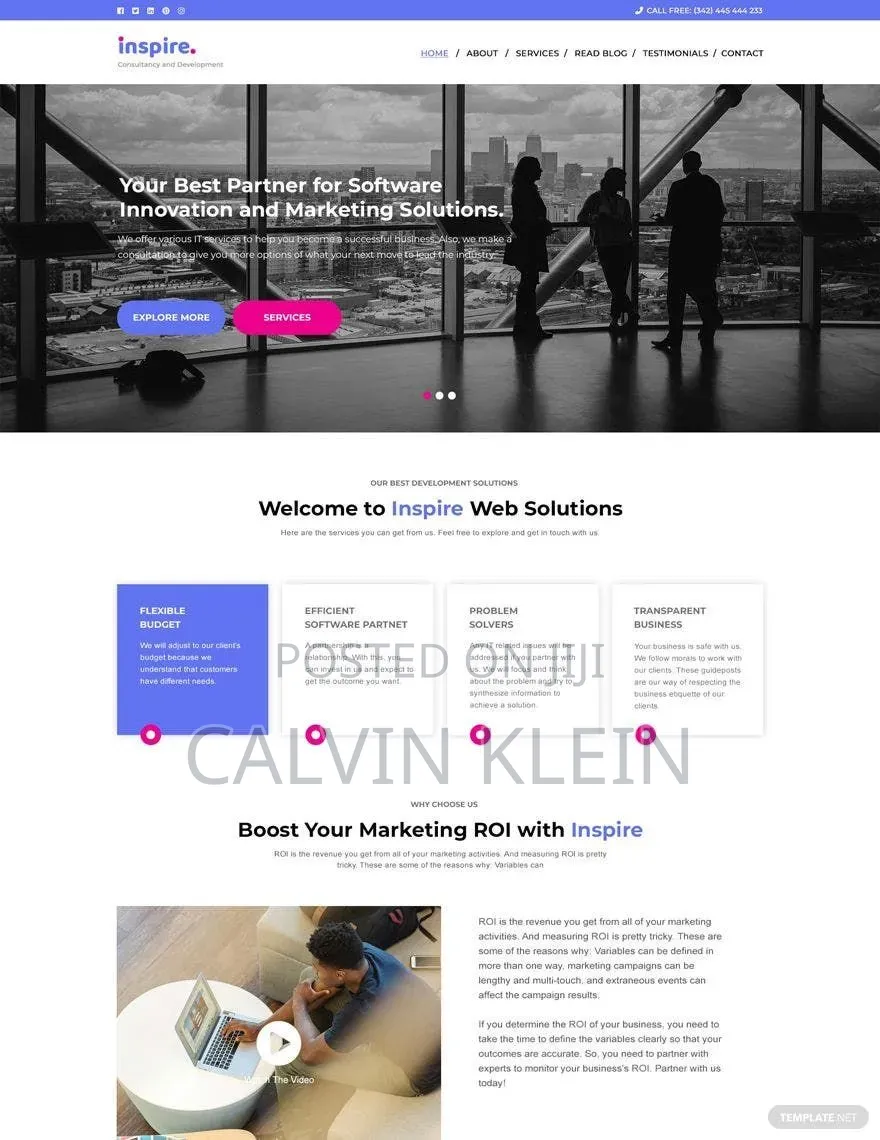 Professional Website Design