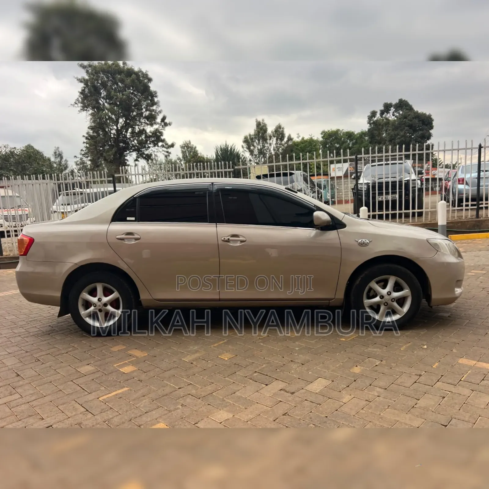 Toyota Axio 2006 Beige