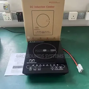 24 Volts Dc Solar Battery Powered Induction Cooker for Indoor /Outdoor