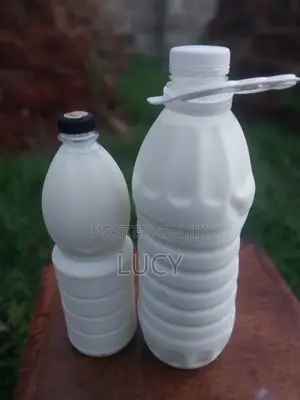 Kefir Milk and Grains