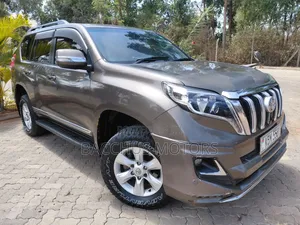Toyota Land Cruiser Prado 4.0 Petrol TX-L 2010 Brown
