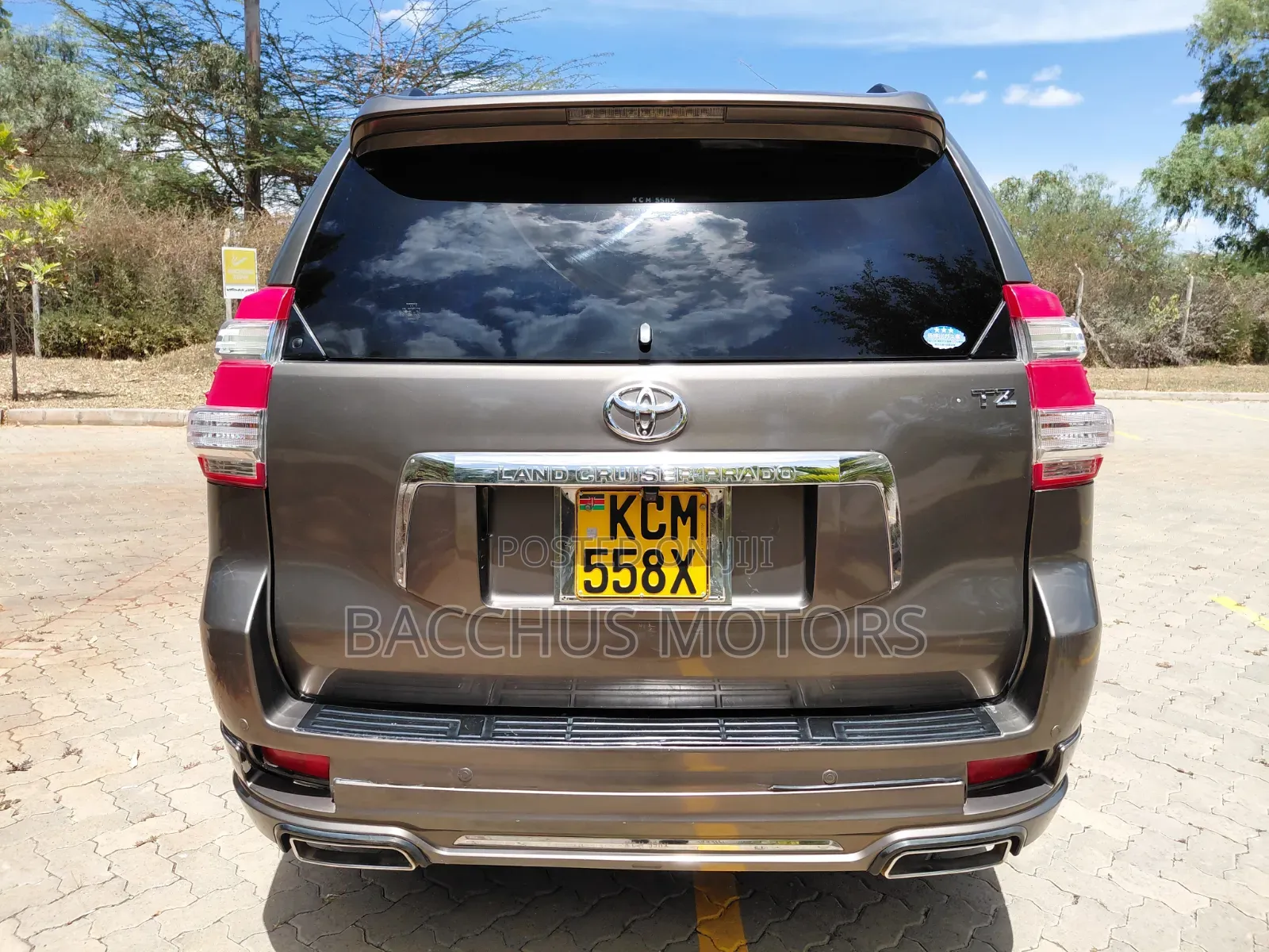 Toyota Land Cruiser Prado 4.0 Petrol TX-L 2010 Brown
