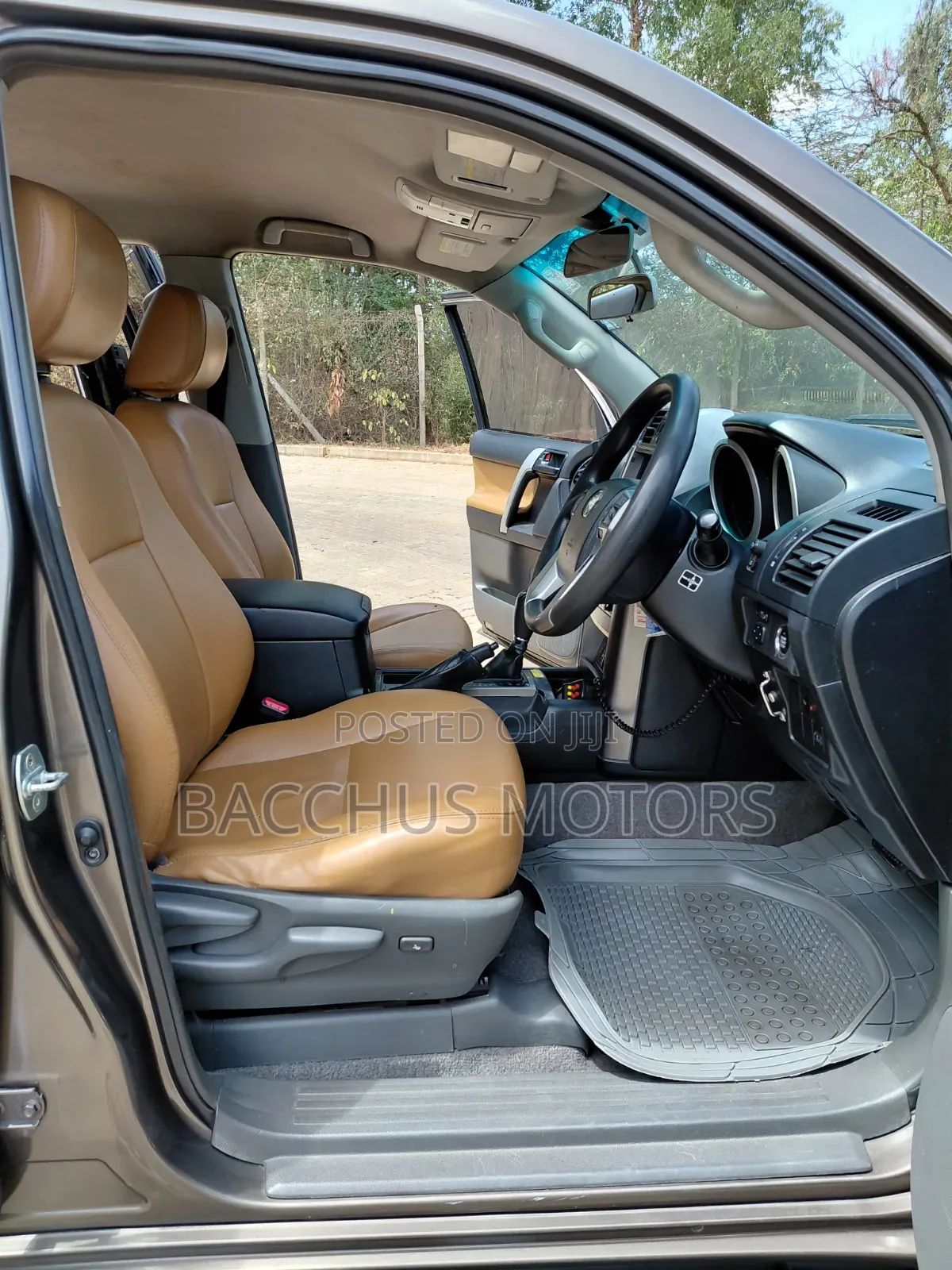 Toyota Land Cruiser Prado 4.0 Petrol TX-L 2010 Brown