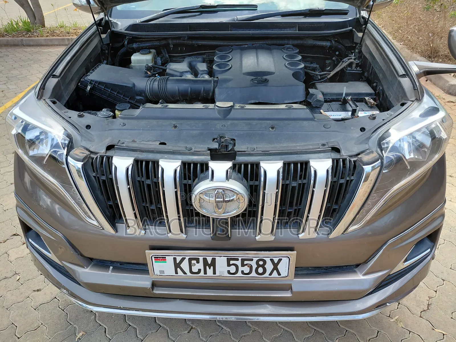 Toyota Land Cruiser Prado 4.0 Petrol TX-L 2010 Brown