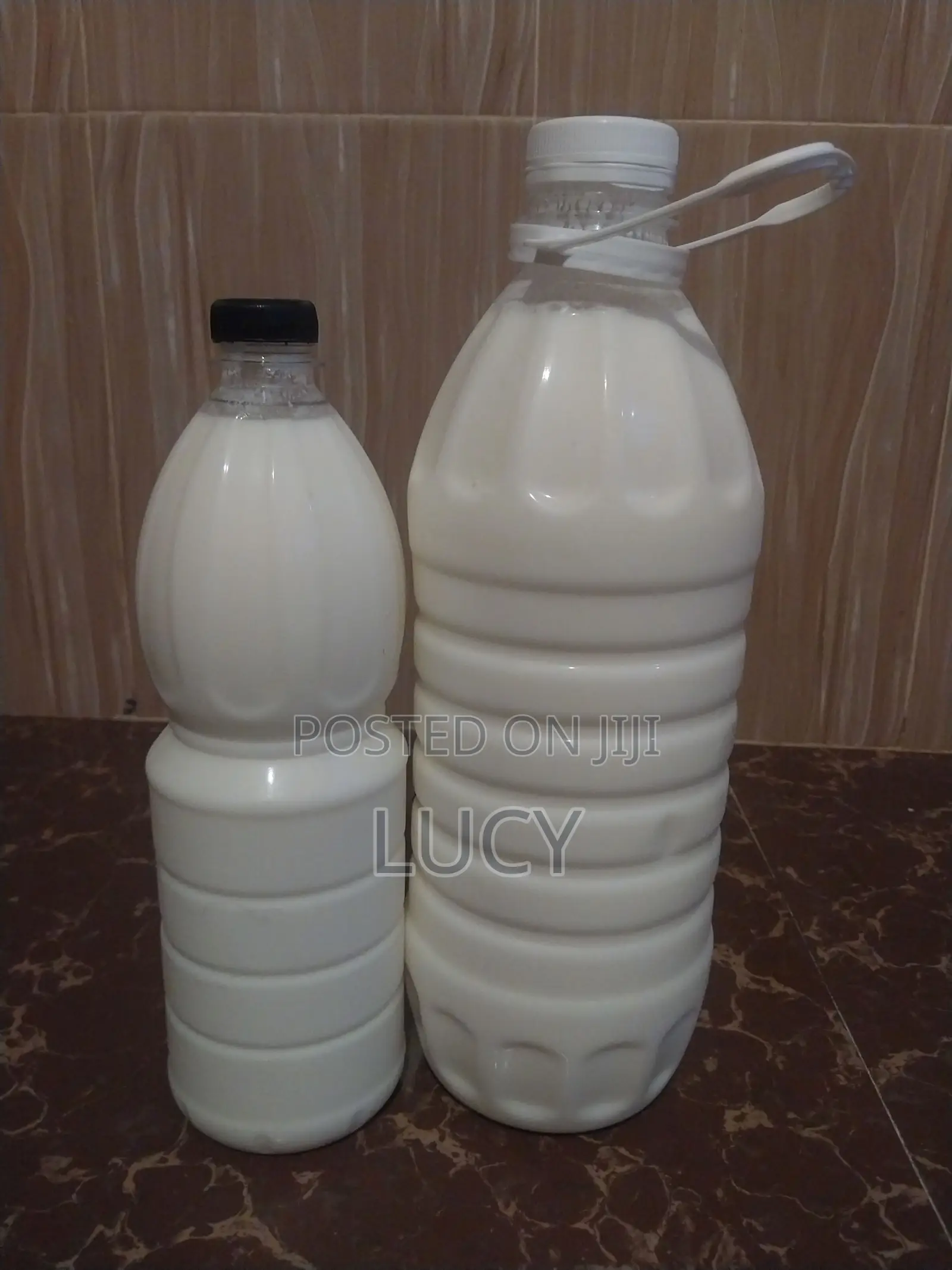 Kefir Milk and Grains