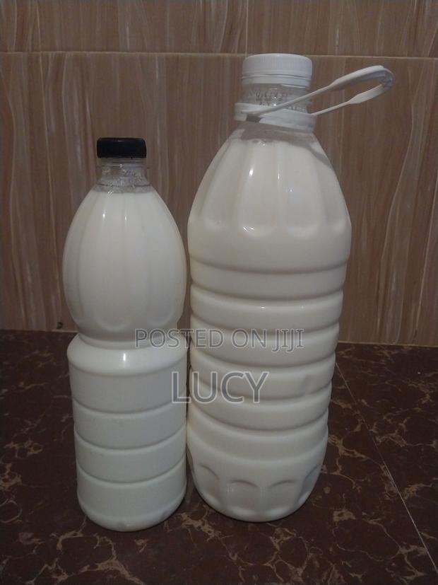 Kefir Milk and Grains - thumbnail 2