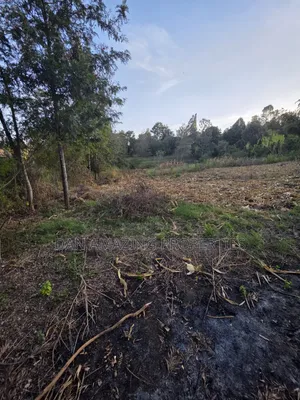 1/4 Acre Plot Ngong Olkeri for Sale Ideal for Residential Development